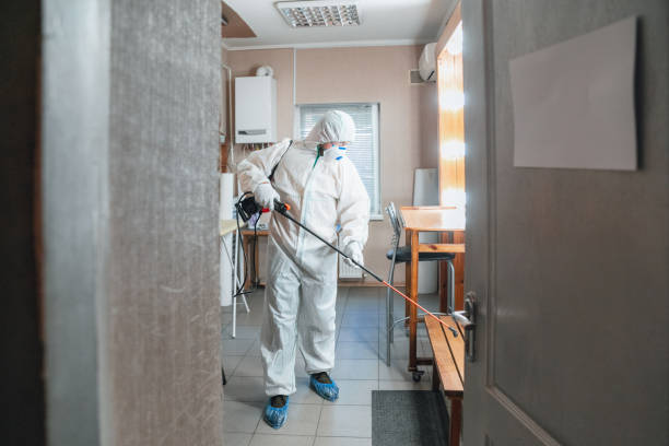 Mold Documentation for Insurance Claims in Wyoming, MI