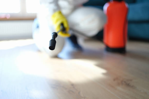 Best Dehumidification Services  in Wyong, MI